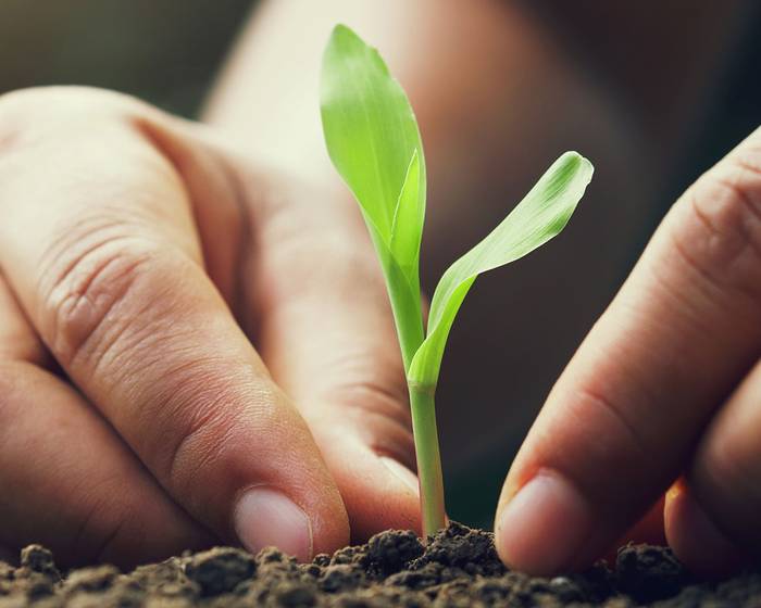 Best Practices auf dem Feld